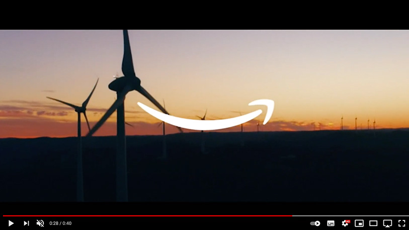 become-a-green-amazon