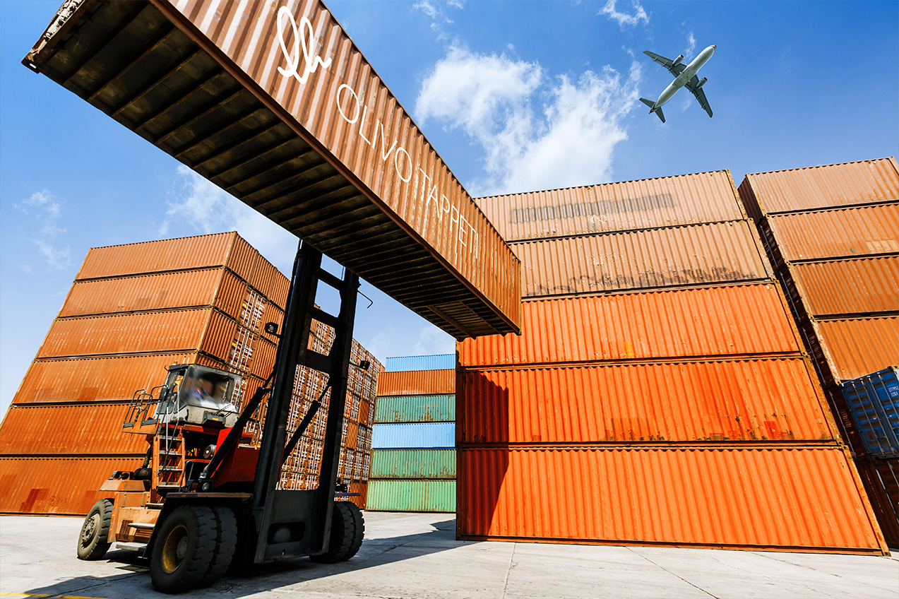 Olivo Tappeti - Dal 2017 siamo i primi importatori di Tappeti in Italia.